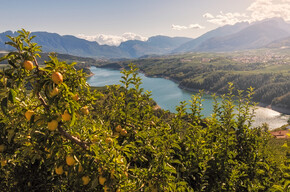 Lake Santa Giustina - The big dam in the valley of canyons
