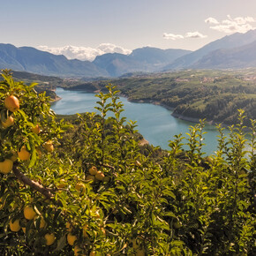 Lake Santa Giustina - The big dam in the valley of canyons