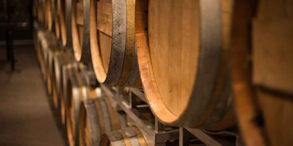 Sleeping in the cellar