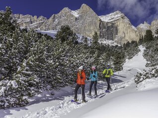 Val di Fassa 