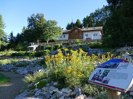 Valle dell'Adige - Monte Bondone - Rifugio Viote e giardino botanico