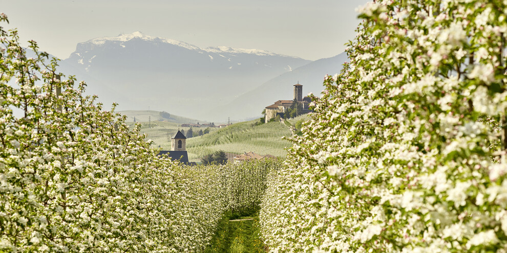 Val di Non - Meleti - Castel Valer
