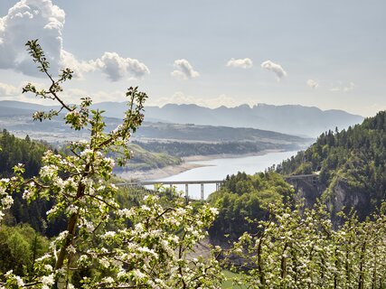 Val di Non - Meleti - Lago si Santa Giustina
