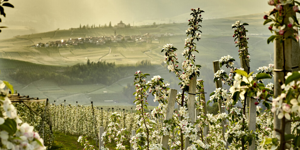 Val di Non - Meleti