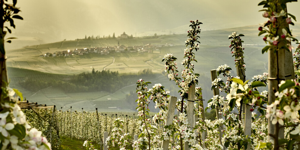 Val di Non - Meleti