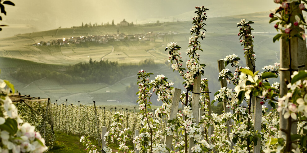 Val di Non - Meleti
