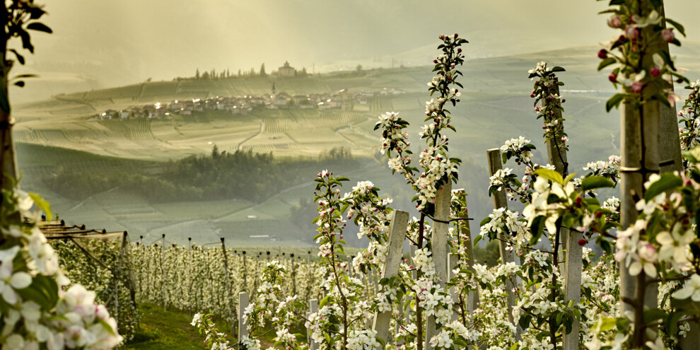 Val di Non - Meleti
