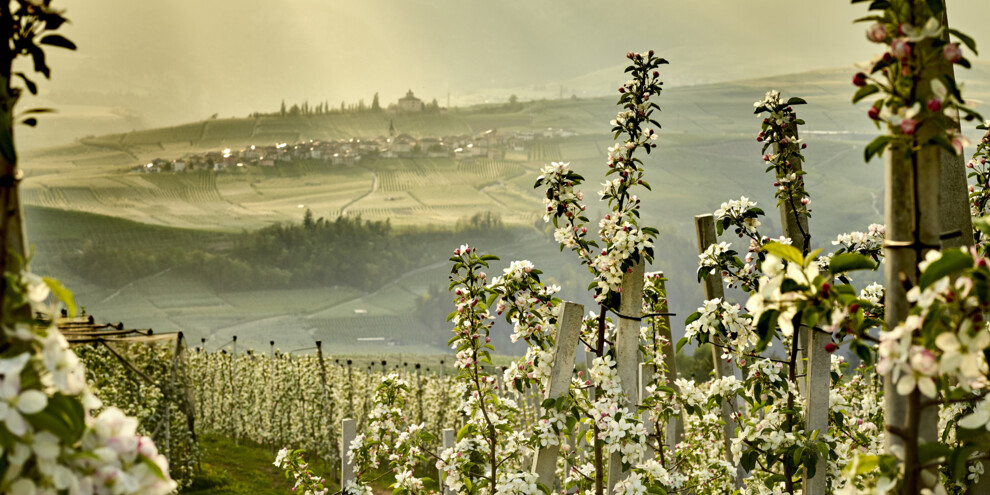 Val di Non - Meleti