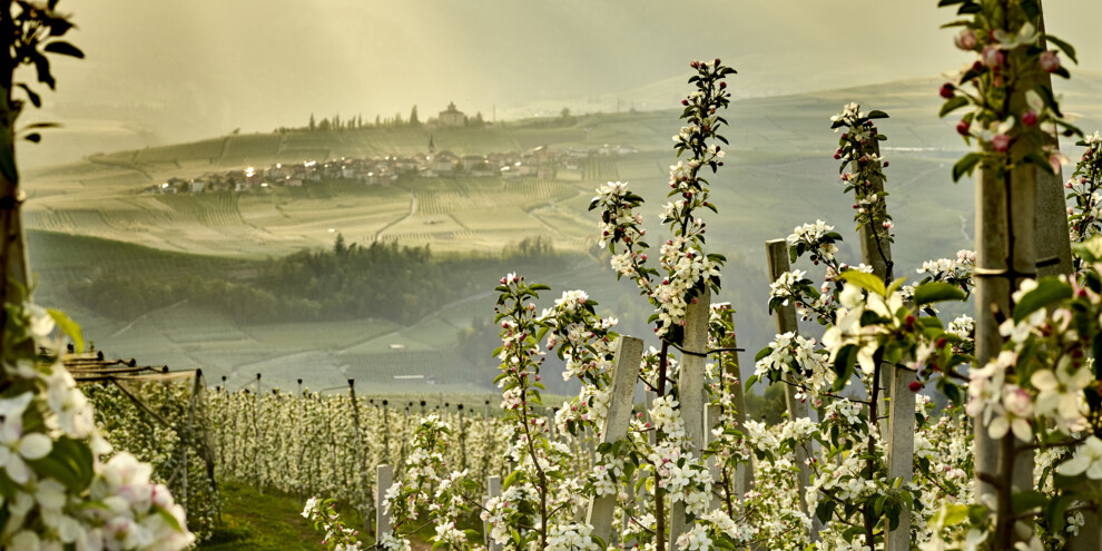 Val di Non - Meleti