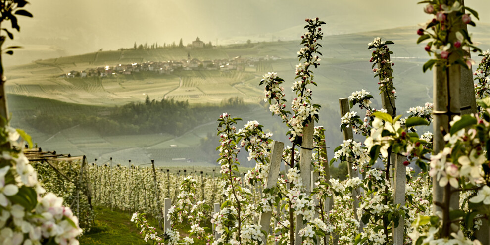 Val di Non - Meleti
