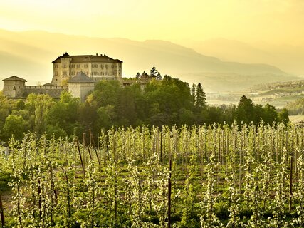 Val di Non - Meleti - Castel Thun