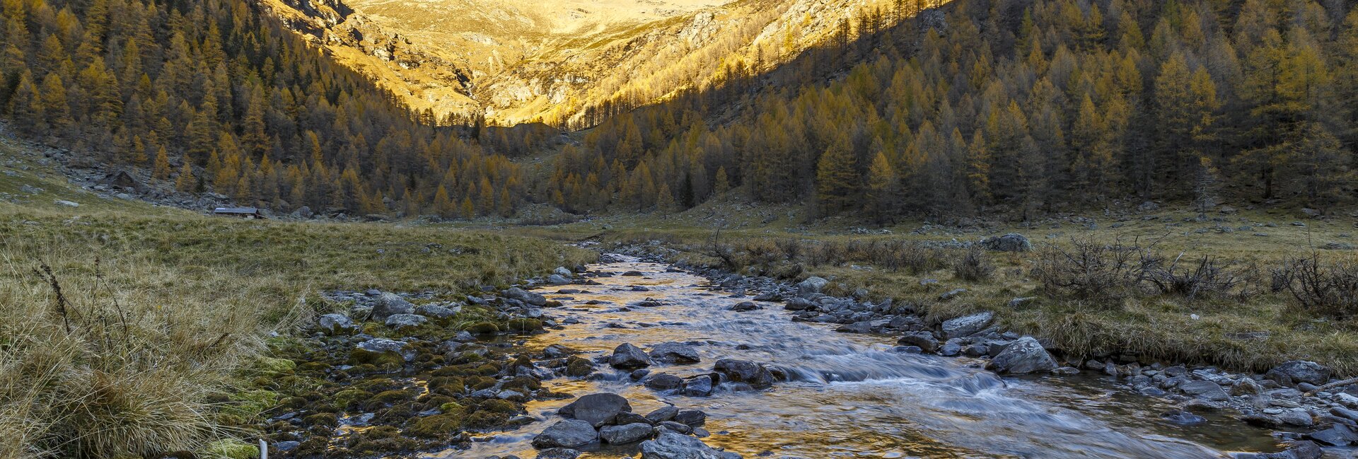 Val di Sole - Stelvio - Pra di Saent
