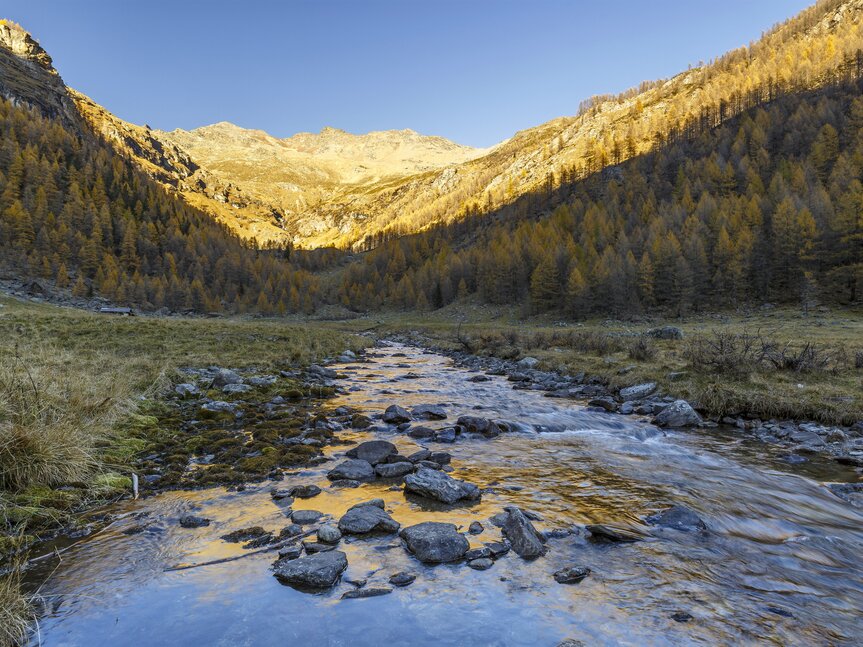 Val di Sole - Stelvio - Pra di Saent
