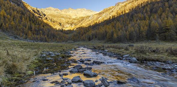 Val di Sole - Stelvio - Pra di Saent
