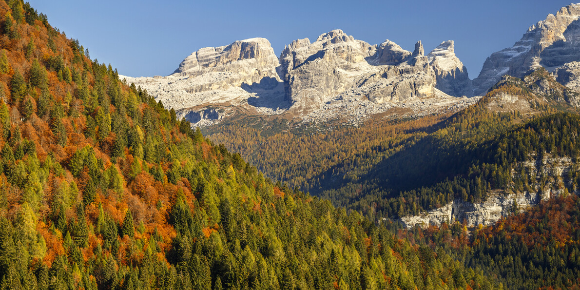 Madonna di Campiglio - Dolomiti di Brenta - Foliage
