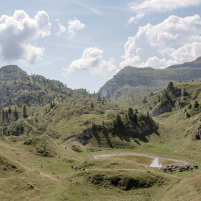 Val di Non - Pian della Nana -  Malga Tassulla
