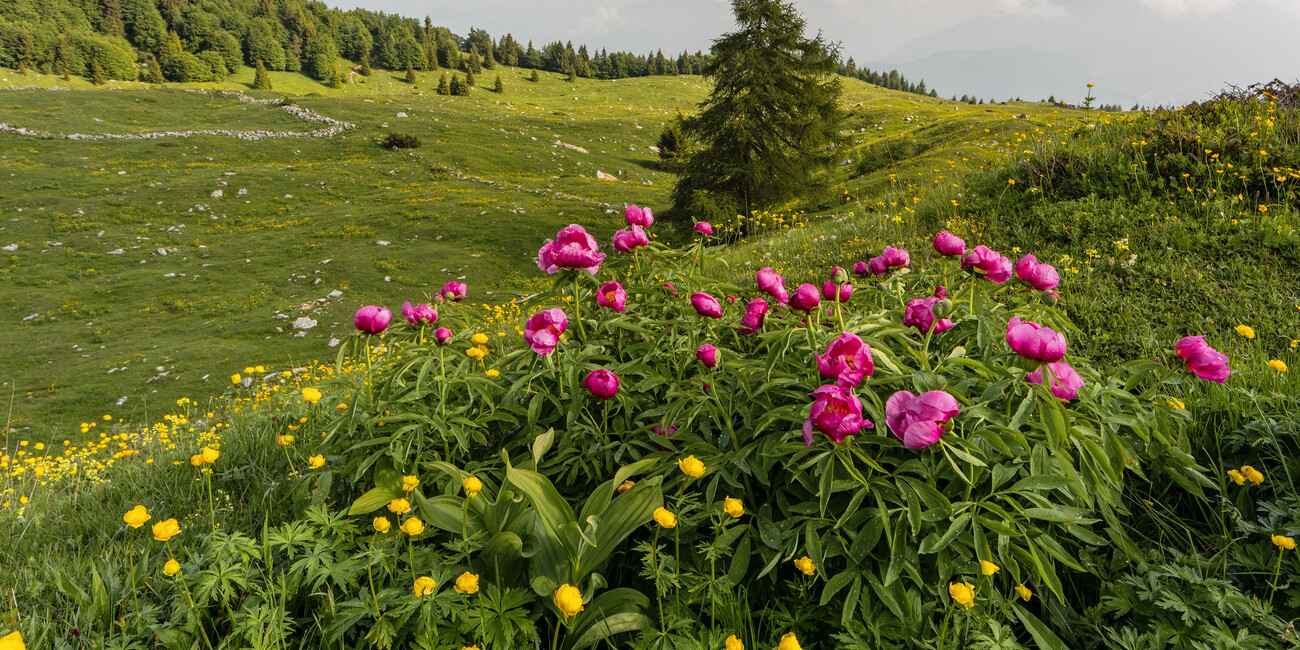 Monte Baldo  #3