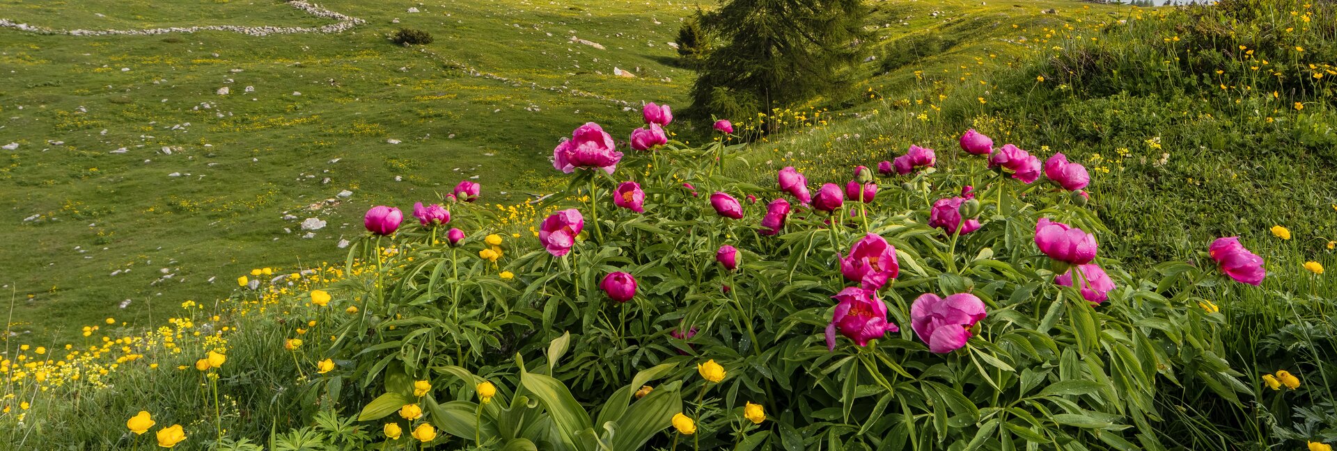 Vallagarina - Monte Baldo
