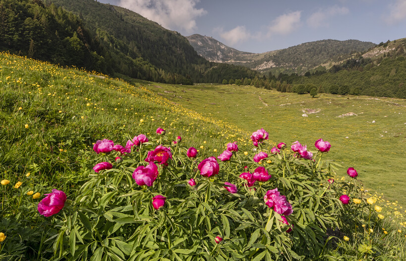 Vallagarina - Monte Baldo
