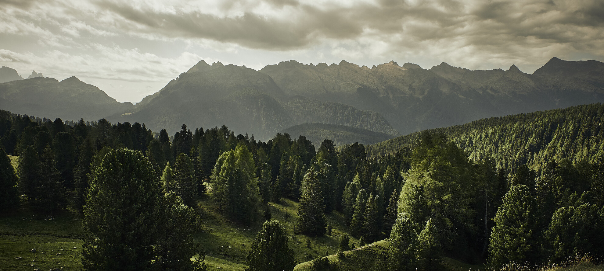 Val di Fiemme - Malga Canvere
