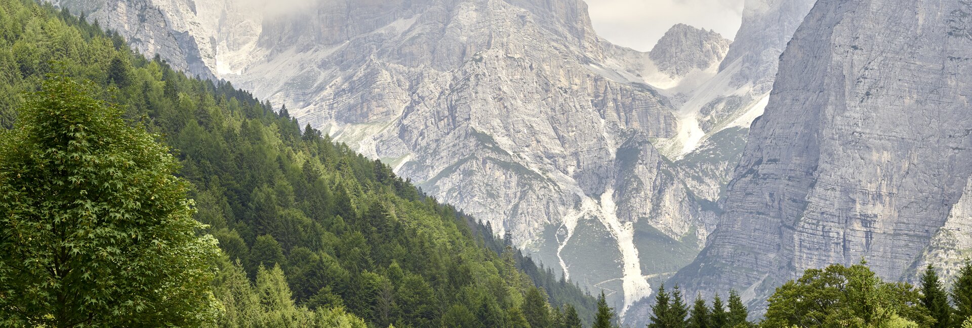 Dolomiti Paganella - Rifugio Malga Andalo
