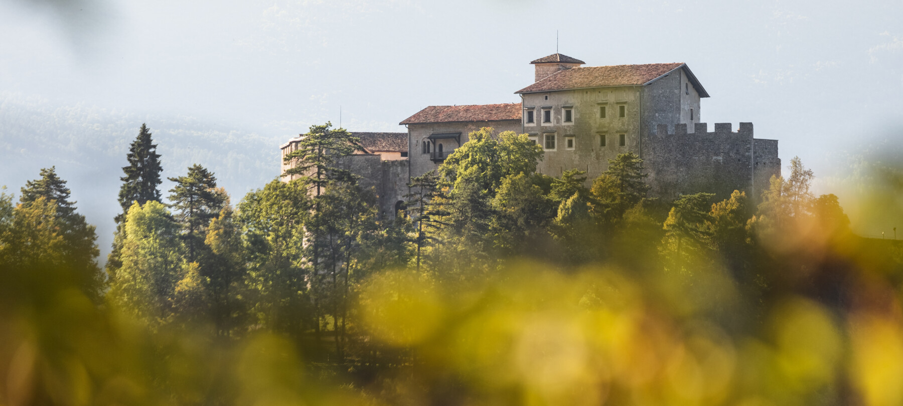 Stenico Castle. A few rows of larch and fir trees partially hide the view. In the foreground, blurred, leaves in the colours of autumn.