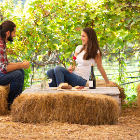 Comano Terme - Santa Croce - Cantina Cavic - Agritur La Coccinella