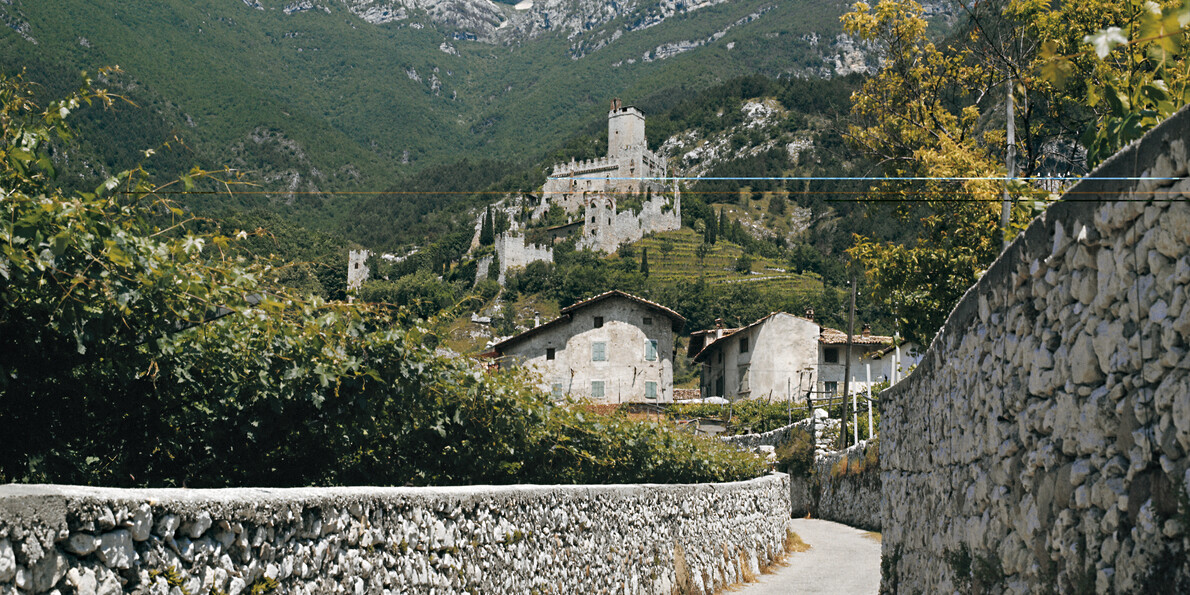 Discovering vineyards and castles on your bike