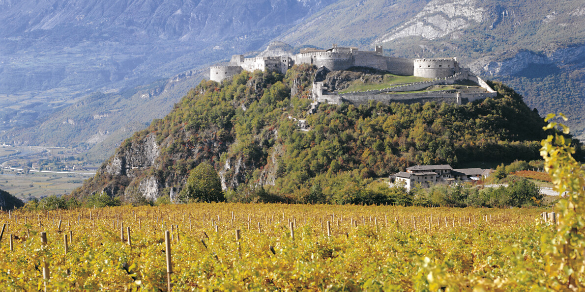 Discovering vineyards and castles on your bike