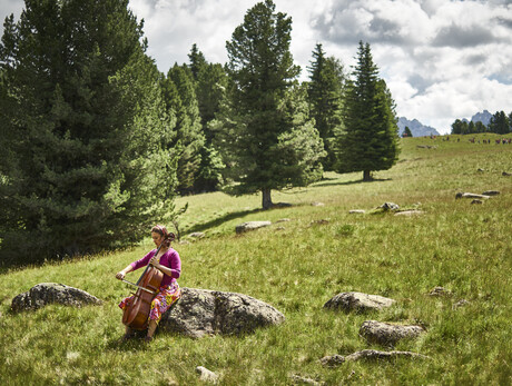 Val di Fiemme - Bocche - Malga Canvere - Alasdair Fraser, Natalie Haas