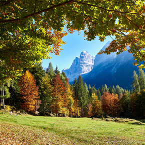 Dolomiti di Brenta - Val Rendena - Dolomiti di Brenta - Foliage
