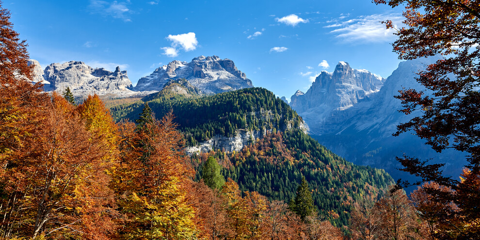 Dolomiti di Brenta - Val Rendena - Dolomiti di Brenta - Foliage
