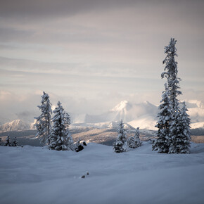 Val di Fiemme - Passo Lavaz?