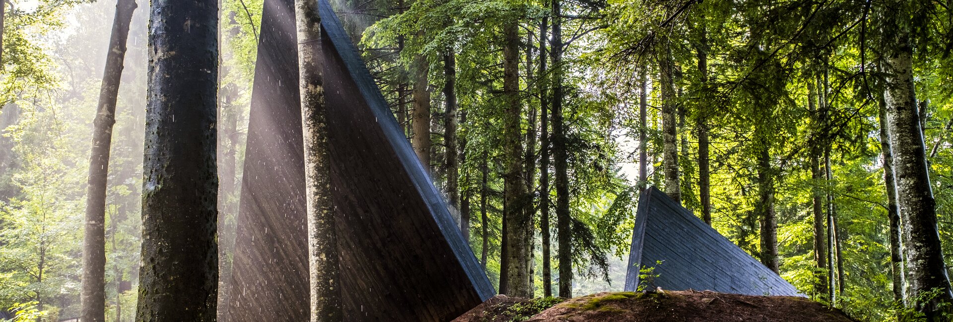 Valsugana - Val di Sella - Arte Sella 