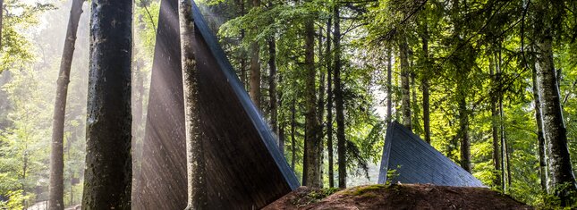 Valsugana - Val di Sella - Arte Sella 