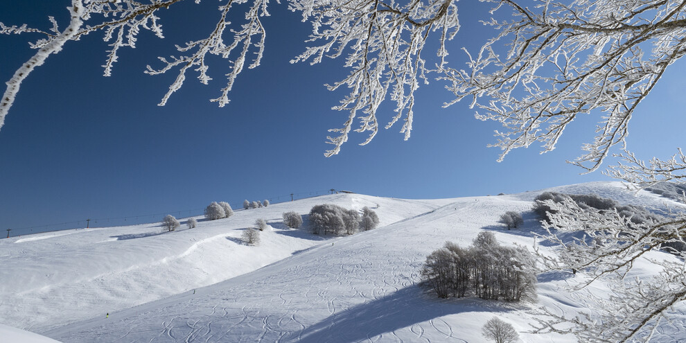 Vallagarina - Altopiano di Brentonico - Polsa di Brentonico