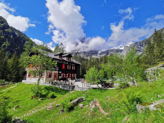 Rifugio "Adamello Collini" Al Bedole Val Genova