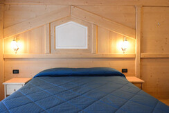 abete_bianco (8 of 60) - Copia abete_bianco (8 of 60) - Copia