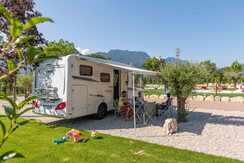 agrisalus-430 agrisalus-430