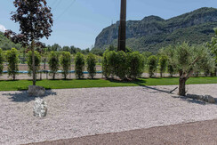 agrisalus-269 agrisalus-269