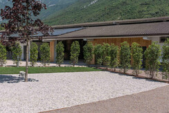 agrisalus-258 agrisalus-258