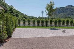 agrisalus-260 agrisalus-260