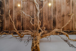 DSC_0308br DSC_0308br