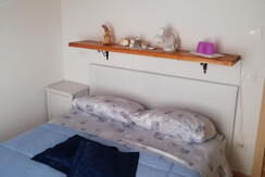 Pino cembro Pino cembro