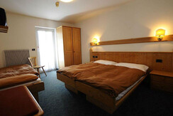 cameraalpenrosepassorolle