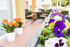 Stivo terrazza vista interna