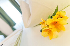 102 - Dettaglio letto matrimoniale 102 - Dettaglio letto matrimoniale