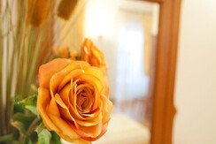 103 - Dettaglio camera da letto 103 - Dettaglio camera da letto