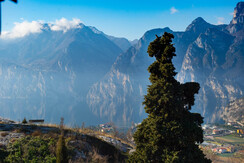 Blick aus dem Wohnzimmer