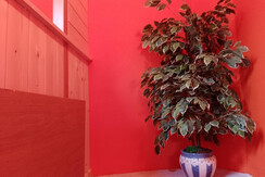 angolo decorativo angolo decorativo